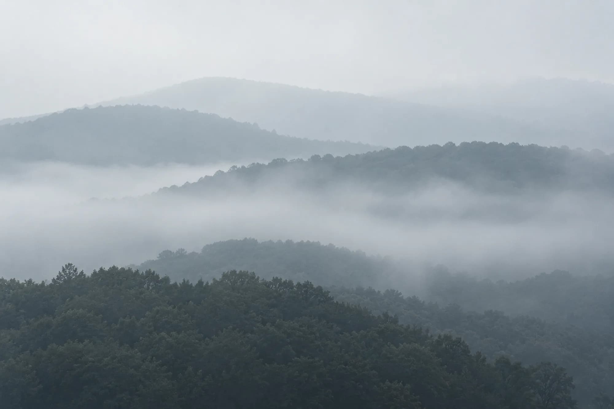 Hills in fog