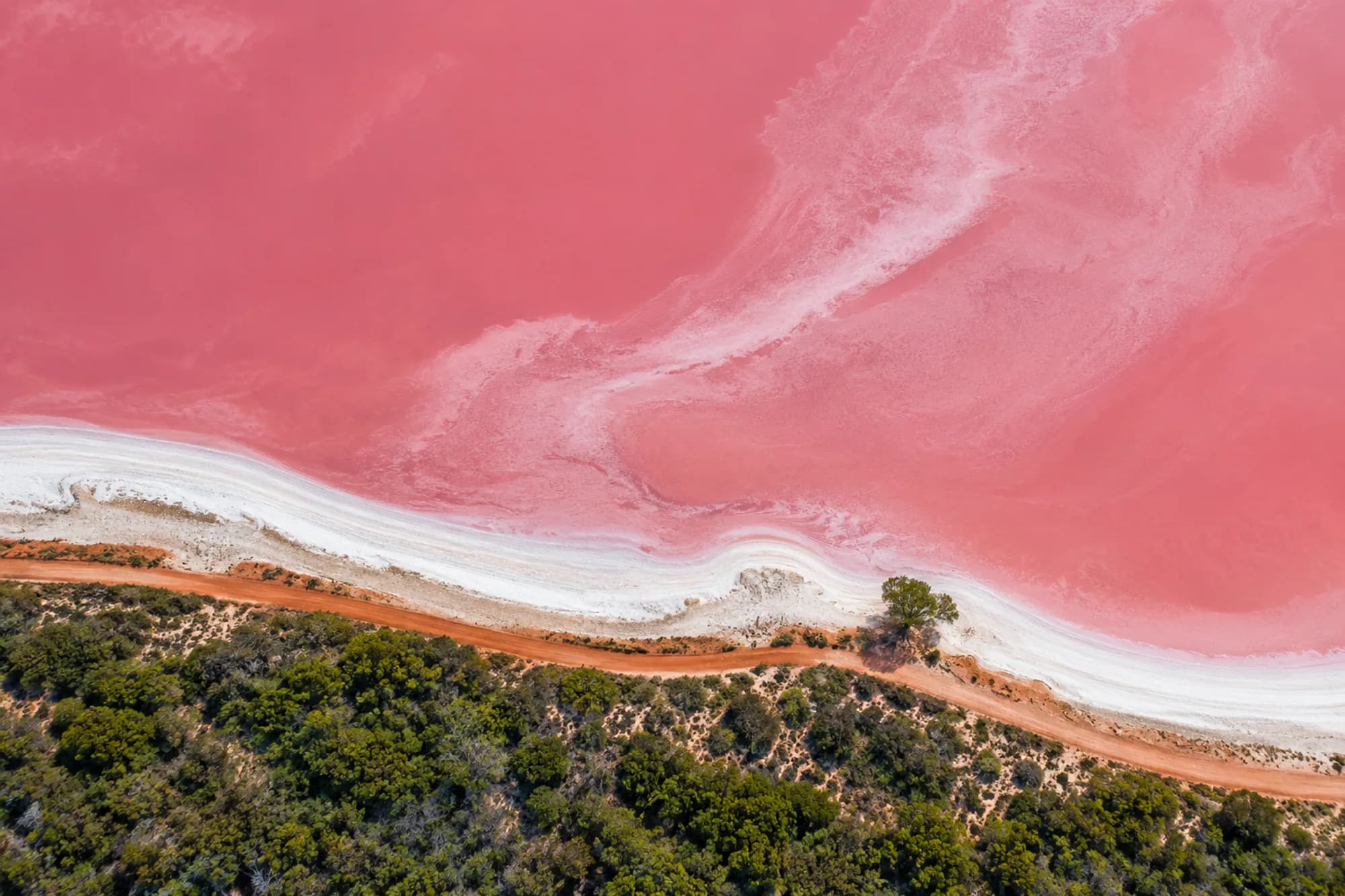 A pink salt lake meeting white salt crust and green bush, seen from above