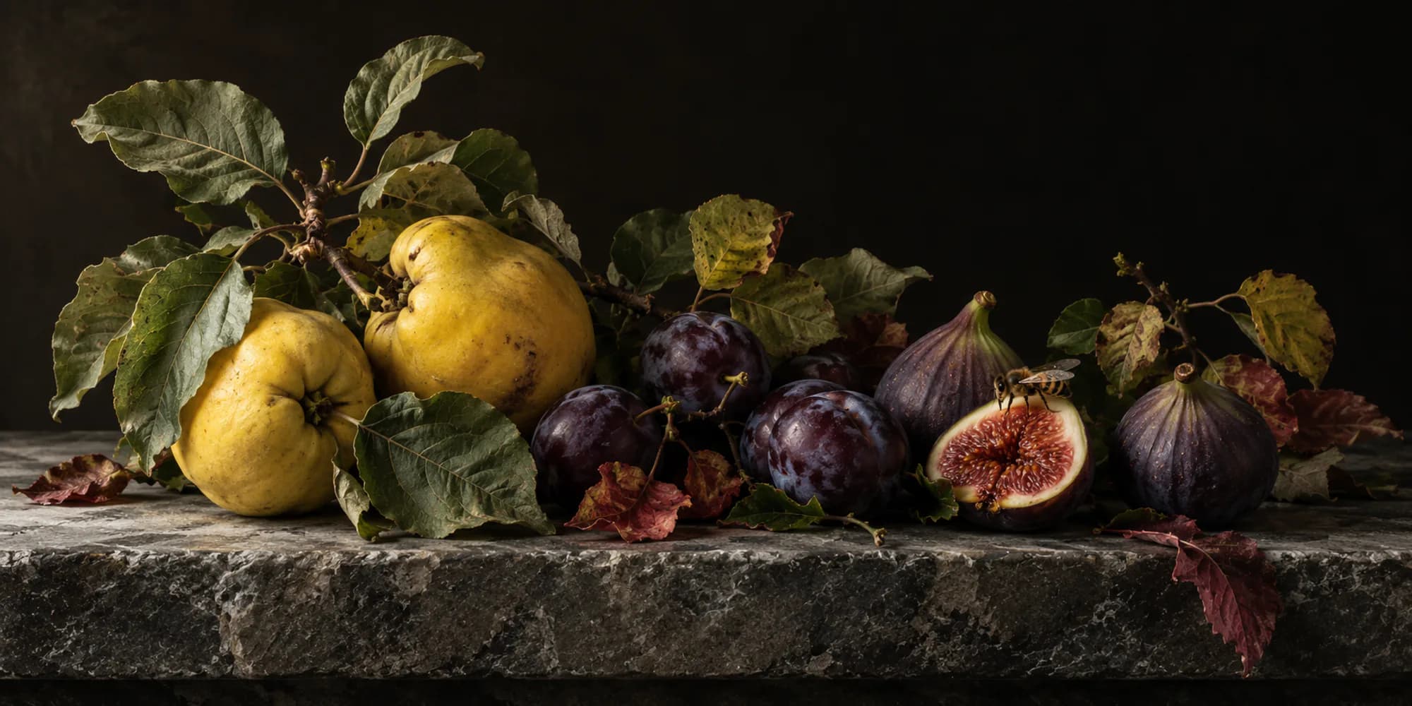 Still life of quinces, plums and figs laid along a dark stone ledge